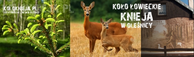 KOLOKNIEJA.PL | Koło Łowieckie Knieja w Oleśnicy
